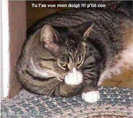 matou
