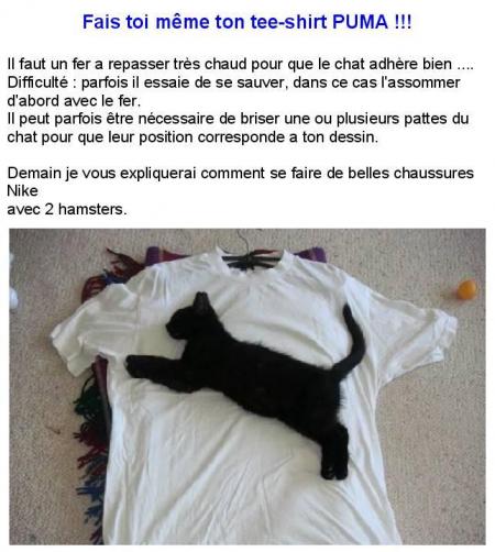 ptit chat (puma pour l&eacute; amie)