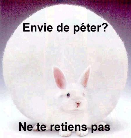 lapin