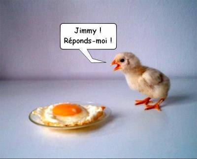sauv&eacute; jimmy le retour !